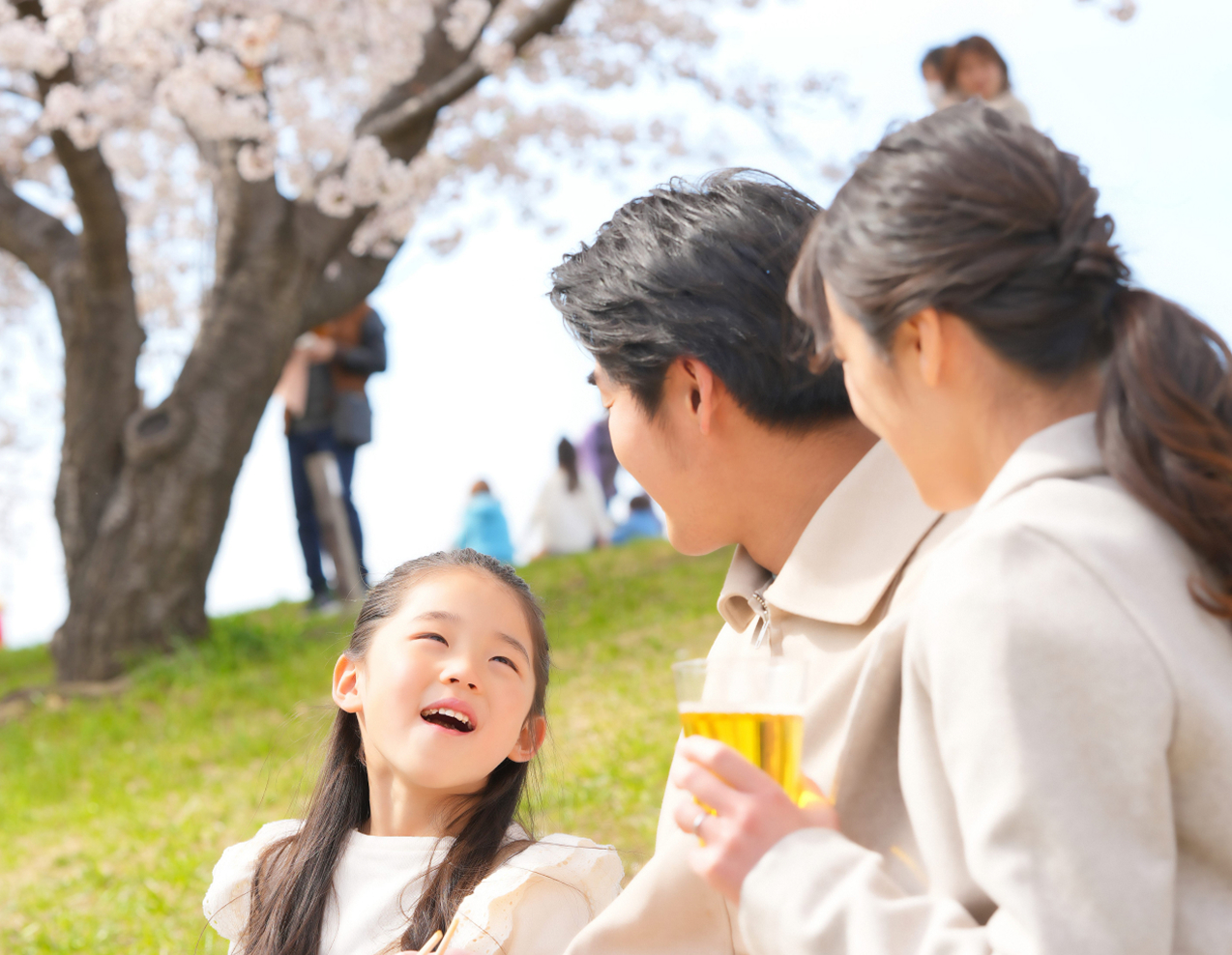 お花見などの イベントに